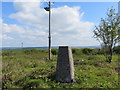 Ordnance Survey Trig Pillar S2370