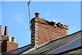 Roosting gull, Frederick Street