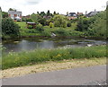 Houses on the north bank of the Severn, Newtown