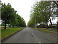 Errwood Road near Arbor Avenue