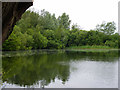 Gadwall Lake, Chigborough Lakes