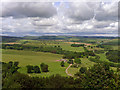 East Brizlee from the Long Stone, Hulne Park