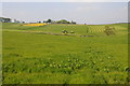 Silage mowing