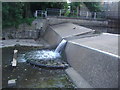 Weir on Dollis Brook, Hendon