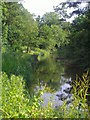 Decoy pond, Brent Park