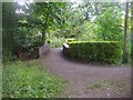 Bridge over drainage ditch, Brent Park