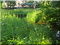 The Decoy pond in Brent Park