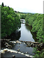 Weirs on the River Gryfe