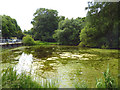 Putney Heath:  Seven Posts Pond