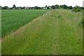 Footpath into Cranfield