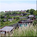 Allotments, Southwick