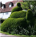 Topiary, Newenden