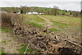 Farmland at Gwarwaun