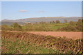 View to the Black Mountains