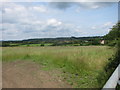 Hay meadow above Haskin