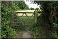 Gate on the bridleway to Brookend