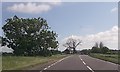 Riby Road approaching B1210 roundabout