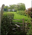 Footpath to Smallridge