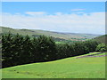 Farmland and woodland above the River South Tyne west of Newshield