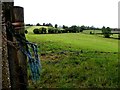 Ranelly Townland