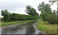 Walk Lane at sharp bend