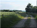 Track through farmland