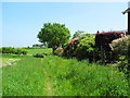 Home Farm to Cuddington Lane footpath