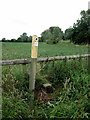 Footpath to Boxhedge Farm