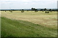 Newly mown hay by the Astwood Road