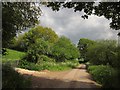 Lane to Wyke Cross