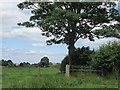 Bridleway near Batts Hill