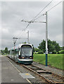 A tram leaving Phoenix Park