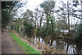 Basingstoke Canal