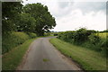 Bend on Lane to Holtham Garrs