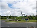 Deer spotted on roundabout in Dumbarton