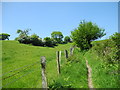 Mill Lane to Cuddington Lane footpath