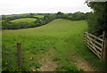 Field, Knowle Farm