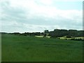 Cropland below Slievemoyle