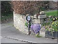 NU1019 : Speed limit sign, Eglingham by Richard Webb