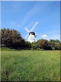 TQ2908 : Patcham windmill by Paul Gillett