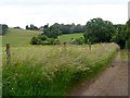 Looking up the slope from Codicote Bottom