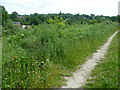 Footpath near The Moor