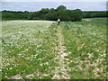 Footpath near Hawkhurst Hospital