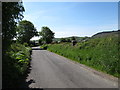 View south along Ballynamona Road