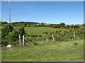 J0415 : Grazing land west of Ballymona Road by Eric Jones