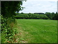 View from footpath near Hawkhurst