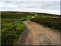 SE1082 : Track leading to the Shooting Hut on Caldbergh Moor by Chris Heaton