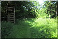 High chair by the path in Club Copse