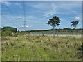 Pirbright Ranges