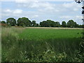 Farmland off the A156